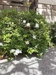 西方山極楽寺(岐阜県)(2023年04月14日(金) 20時48分28秒投稿)