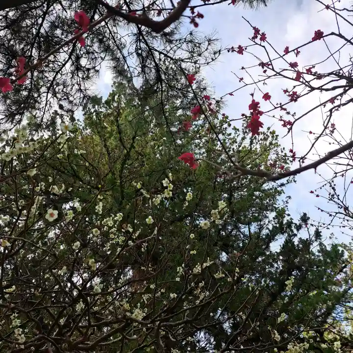 円覚寺の{uncategorized: "未分類", other: "その他", undefined: "問題あり", building: "その他建物", grave: "お墓", sacred_gate: "鳥居", guardian: "狛犬", statue: "像", buddha: "仏像", history: "歴史", nature: "自然", garden: "庭園", animal: "動物", pagoda: "塔", temizu: "手水舎", mountain_gate: "山門・神門", sanctuary: "本殿・本堂", subordinate: "末社・摂社", art: "芸術", scenery: "景色", jizo: "地蔵", ema: "絵馬", goshuin: "御朱印", omikuji: "おみくじ", items: "授与品その他", amulet: "お守り", goshuincho: "御朱印帳", eats: "食事", festival: "お祭り", votive_dance: "神楽", shichigosan: "七五三参", wedding: "結婚式", experience: "体験その他", initially: "初詣", around: "周辺", anti_infection: "感染症対策"}