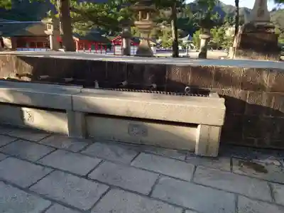 厳島神社の手水舎