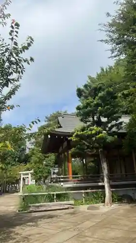 鳩森八幡神社の神楽