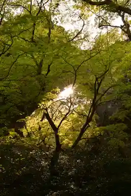 石門洞(香川県)