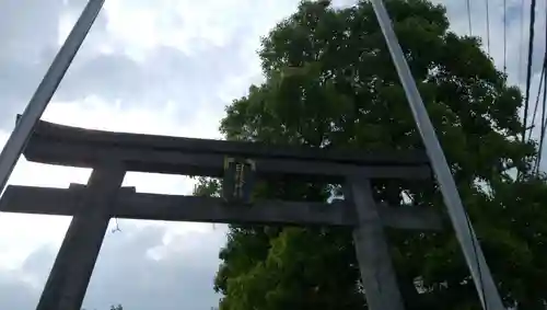 日枝神社の鳥居