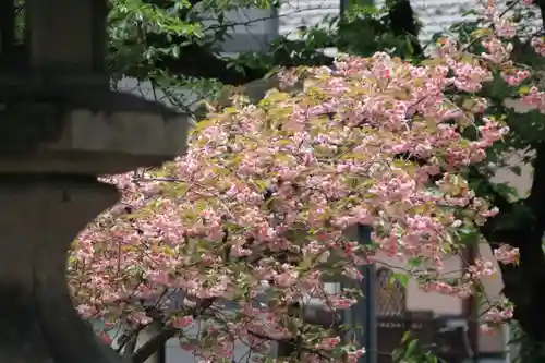 熊野福藏神社の庭園