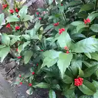 天台宗 長窪山 正覚寺の自然