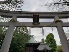 月見岡八幡神社の鳥居