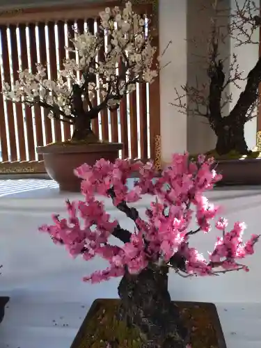 湯島天満宮(東京都)