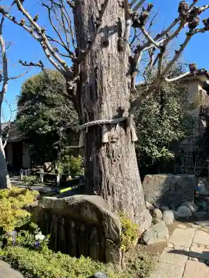 常性寺の{uncategorized: "未分類", other: "その他", undefined: "問題あり", building: "その他建物", grave: "お墓", sacred_gate: "鳥居", guardian: "狛犬", statue: "像", buddha: "仏像", history: "歴史", nature: "自然", garden: "庭園", animal: "動物", pagoda: "塔", temizu: "手水舎", mountain_gate: "山門・神門", sanctuary: "本殿・本堂", subordinate: "末社・摂社", art: "芸術", scenery: "景色", jizo: "地蔵", ema: "絵馬", goshuin: "御朱印", omikuji: "おみくじ", items: "授与品その他", amulet: "お守り", goshuincho: "御朱印帳", eats: "食事", festival: "お祭り", votive_dance: "神楽", shichigosan: "七五三参", wedding: "結婚式", experience: "体験その他", initially: "初詣", around: "周辺", anti_infection: "感染症対策"}