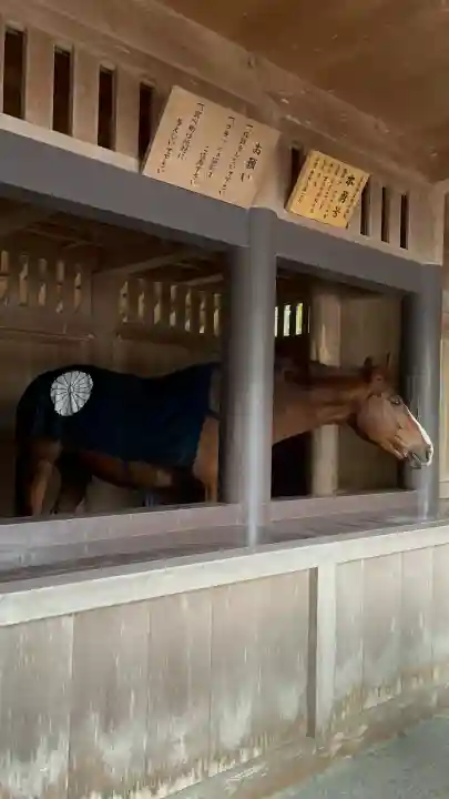 伊勢神宮内宮(皇大神宮)(三重県)