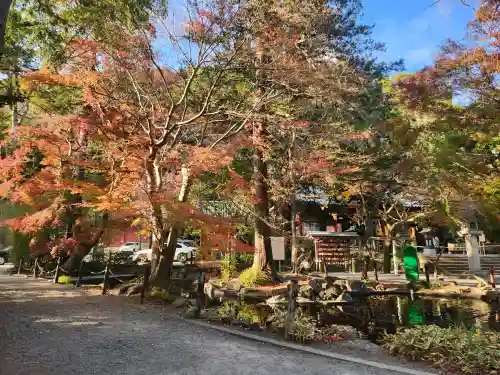 伊豆山神社の{uncategorized: "未分類", other: "その他", undefined: "問題あり", building: "その他建物", grave: "お墓", sacred_gate: "鳥居", guardian: "狛犬", statue: "像", buddha: "仏像", history: "歴史", nature: "自然", garden: "庭園", animal: "動物", pagoda: "塔", temizu: "手水舎", mountain_gate: "山門・神門", sanctuary: "本殿・本堂", subordinate: "末社・摂社", art: "芸術", scenery: "景色", jizo: "地蔵", ema: "絵馬", goshuin: "御朱印", omikuji: "おみくじ", items: "授与品その他", amulet: "お守り", goshuincho: "御朱印帳", eats: "食事", festival: "お祭り", votive_dance: "神楽", shichigosan: "七五三参", wedding: "結婚式", experience: "体験その他", initially: "初詣", around: "周辺", anti_infection: "感染症対策"}
