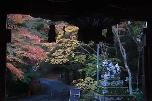 神峯山寺の狛犬