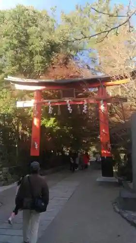 宇治上神社の鳥居