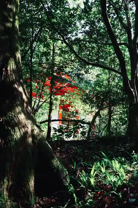 箱根神社の{uncategorized: "未分類", other: "その他", undefined: "問題あり", building: "その他建物", grave: "お墓", sacred_gate: "鳥居", guardian: "狛犬", statue: "像", buddha: "仏像", history: "歴史", nature: "自然", garden: "庭園", animal: "動物", pagoda: "塔", temizu: "手水舎", mountain_gate: "山門・神門", sanctuary: "本殿・本堂", subordinate: "末社・摂社", art: "芸術", scenery: "景色", jizo: "地蔵", ema: "絵馬", goshuin: "御朱印", omikuji: "おみくじ", items: "授与品その他", amulet: "お守り", goshuincho: "御朱印帳", eats: "食事", festival: "お祭り", votive_dance: "神楽", shichigosan: "七五三参", wedding: "結婚式", experience: "体験その他", initially: "初詣", around: "周辺", anti_infection: "感染症対策"}