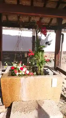 興聖寺(興聖寶林禅寺)(京都府)