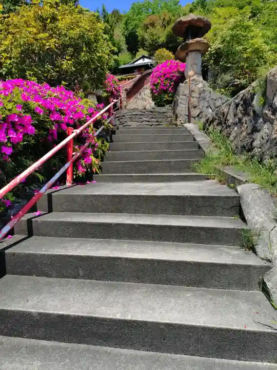 観音寺の{uncategorized: "未分類", other: "その他", undefined: "問題あり", building: "その他建物", grave: "お墓", sacred_gate: "鳥居", guardian: "狛犬", statue: "像", buddha: "仏像", history: "歴史", nature: "自然", garden: "庭園", animal: "動物", pagoda: "塔", temizu: "手水舎", mountain_gate: "山門・神門", sanctuary: "本殿・本堂", subordinate: "末社・摂社", art: "芸術", scenery: "景色", jizo: "地蔵", ema: "絵馬", goshuin: "御朱印", omikuji: "おみくじ", items: "授与品その他", amulet: "お守り", goshuincho: "御朱印帳", eats: "食事", festival: "お祭り", votive_dance: "神楽", shichigosan: "七五三参", wedding: "結婚式", experience: "体験その他", initially: "初詣", around: "周辺", anti_infection: "感染症対策"}