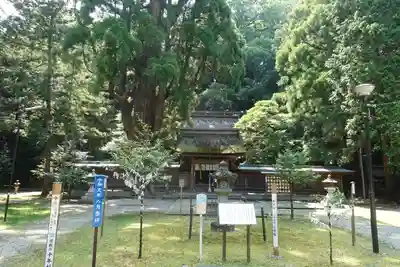 若狭姫神社（若狭彦神社下社）の本殿・本堂