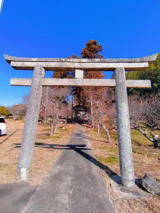 北野社(北野天満宮)の鳥居