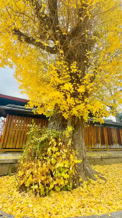 宇賀神社(京都府)