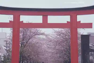 鶴岡八幡宮(神奈川県)