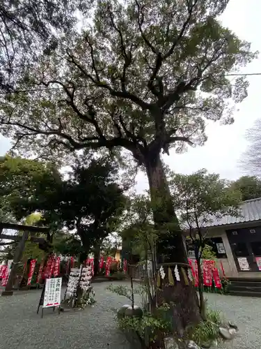 八雲神社の庭園