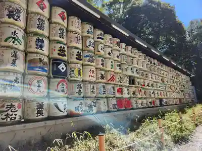 明治神宮(東京都)