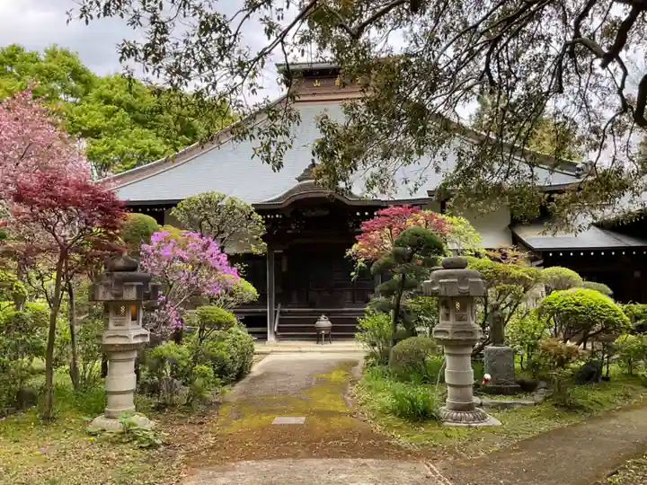 養樹院(圓通庵)(東京都)