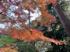 長盛山松久禅寺の自然