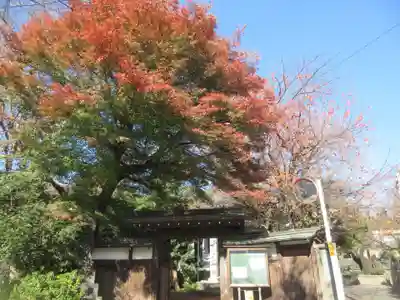 蓮光院(東京都)