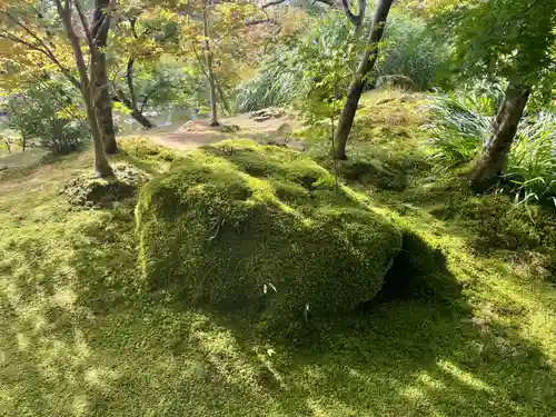 禅林寺（永観堂）(京都府)