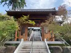 金剛寺の山門