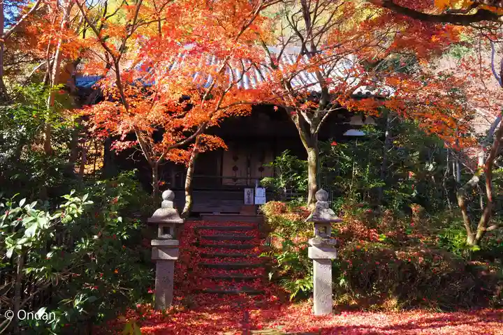 善法律寺(京都府)