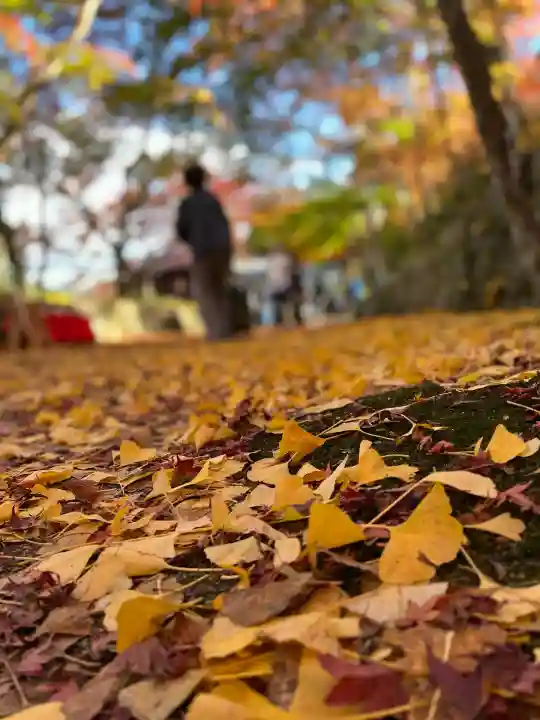 国宝 長寿寺(滋賀県)