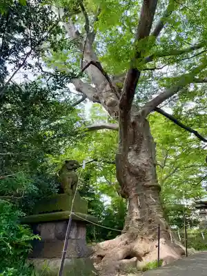 愛宕神社(福島県)