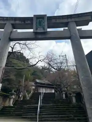 紅葉八幡宮の{uncategorized: "未分類", other: "その他", undefined: "問題あり", building: "その他建物", grave: "お墓", sacred_gate: "鳥居", guardian: "狛犬", statue: "像", buddha: "仏像", history: "歴史", nature: "自然", garden: "庭園", animal: "動物", pagoda: "塔", temizu: "手水舎", mountain_gate: "山門・神門", sanctuary: "本殿・本堂", subordinate: "末社・摂社", art: "芸術", scenery: "景色", jizo: "地蔵", ema: "絵馬", goshuin: "御朱印", omikuji: "おみくじ", items: "授与品その他", amulet: "お守り", goshuincho: "御朱印帳", eats: "食事", festival: "お祭り", votive_dance: "神楽", shichigosan: "七五三参", wedding: "結婚式", experience: "体験その他", initially: "初詣", around: "周辺", anti_infection: "感染症対策"}
