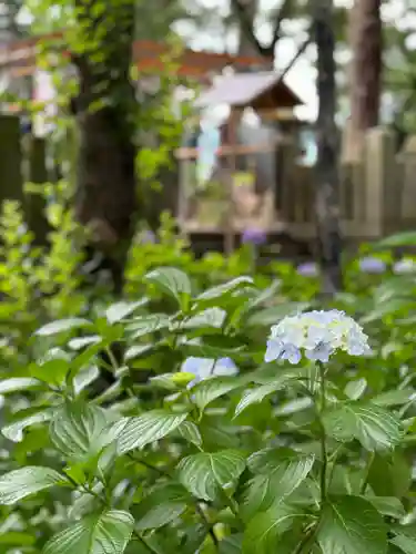 飯笠山神社(長野県)