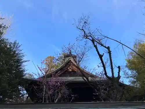 甲斐國一宮 浅間神社(山梨県)