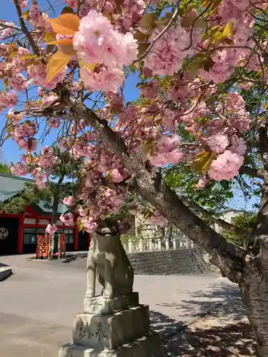 住吉神社の狛犬