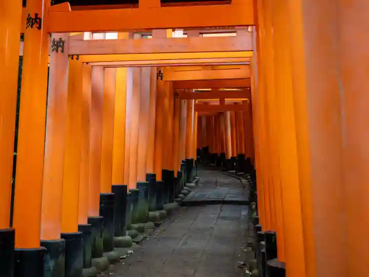伏見稲荷大社の{uncategorized: "未分類", other: "その他", undefined: "問題あり", building: "その他建物", grave: "お墓", sacred_gate: "鳥居", guardian: "狛犬", statue: "像", buddha: "仏像", history: "歴史", nature: "自然", garden: "庭園", animal: "動物", pagoda: "塔", temizu: "手水舎", mountain_gate: "山門・神門", sanctuary: "本殿・本堂", subordinate: "末社・摂社", art: "芸術", scenery: "景色", jizo: "地蔵", ema: "絵馬", goshuin: "御朱印", omikuji: "おみくじ", items: "授与品その他", amulet: "お守り", goshuincho: "御朱印帳", eats: "食事", festival: "お祭り", votive_dance: "神楽", shichigosan: "七五三参", wedding: "結婚式", experience: "体験その他", initially: "初詣", around: "周辺", anti_infection: "感染症対策"}