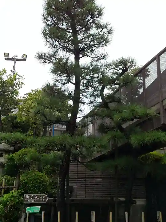 廣源院東福寺の自然