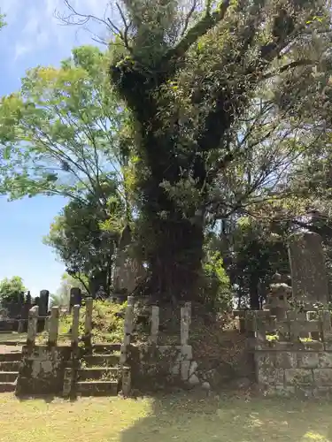 宗閑寺(静岡県)