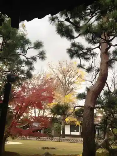 宝珠山　観泉寺の庭園