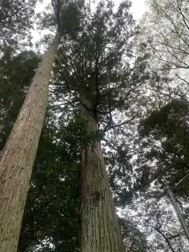 成田熊野神社の{uncategorized: "未分類", other: "その他", undefined: "問題あり", building: "その他建物", grave: "お墓", sacred_gate: "鳥居", guardian: "狛犬", statue: "像", buddha: "仏像", history: "歴史", nature: "自然", garden: "庭園", animal: "動物", pagoda: "塔", temizu: "手水舎", mountain_gate: "山門・神門", sanctuary: "本殿・本堂", subordinate: "末社・摂社", art: "芸術", scenery: "景色", jizo: "地蔵", ema: "絵馬", goshuin: "御朱印", omikuji: "おみくじ", items: "授与品その他", amulet: "お守り", goshuincho: "御朱印帳", eats: "食事", festival: "お祭り", votive_dance: "神楽", shichigosan: "七五三参", wedding: "結婚式", experience: "体験その他", initially: "初詣", around: "周辺", anti_infection: "感染症対策"}