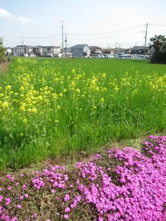 真光寺(千葉県)