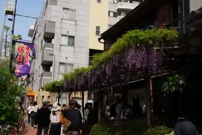 亀戸天神社の食事