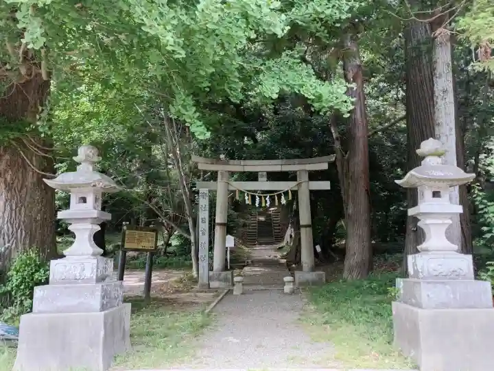 日吉神社の{uncategorized: "未分類", other: "その他", undefined: "問題あり", building: "その他建物", grave: "お墓", sacred_gate: "鳥居", guardian: "狛犬", statue: "像", buddha: "仏像", history: "歴史", nature: "自然", garden: "庭園", animal: "動物", pagoda: "塔", temizu: "手水舎", mountain_gate: "山門・神門", sanctuary: "本殿・本堂", subordinate: "末社・摂社", art: "芸術", scenery: "景色", jizo: "地蔵", ema: "絵馬", goshuin: "御朱印", omikuji: "おみくじ", items: "授与品その他", amulet: "お守り", goshuincho: "御朱印帳", eats: "食事", festival: "お祭り", votive_dance: "神楽", shichigosan: "七五三参", wedding: "結婚式", experience: "体験その他", initially: "初詣", around: "周辺", anti_infection: "感染症対策"}