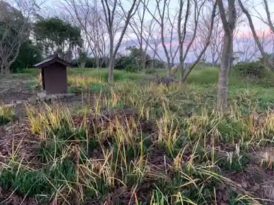 熊野神社の自然