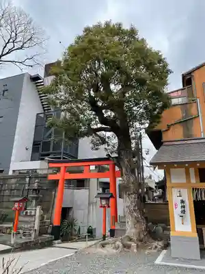 安井金比羅宮(京都府)