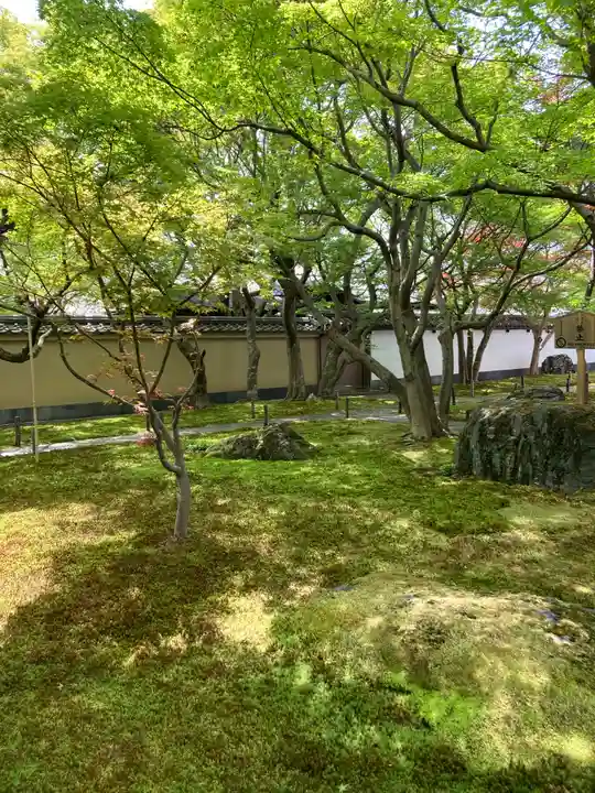 黄梅院(京都府)