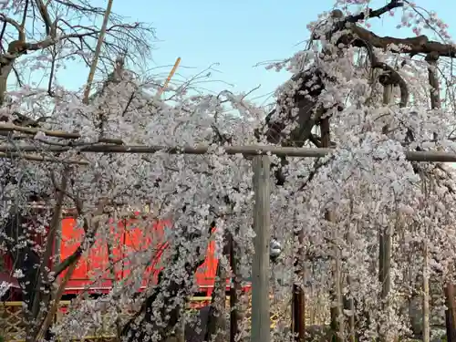 西光院（浄楽寺）(栃木県)