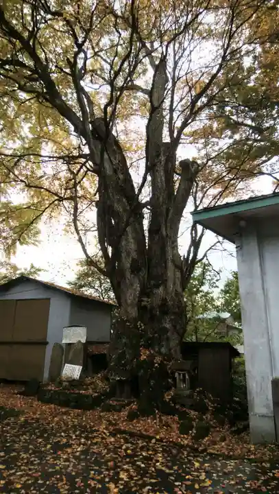 綴子神社(秋田県)