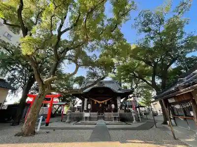 田光八幡社の本殿・本堂